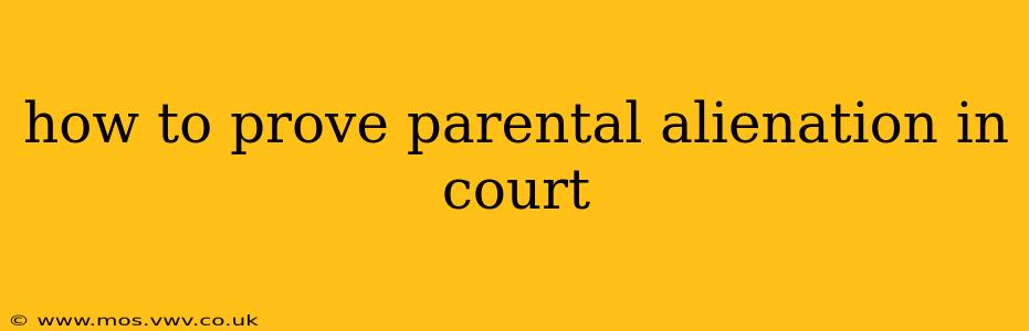 how to prove parental alienation in court