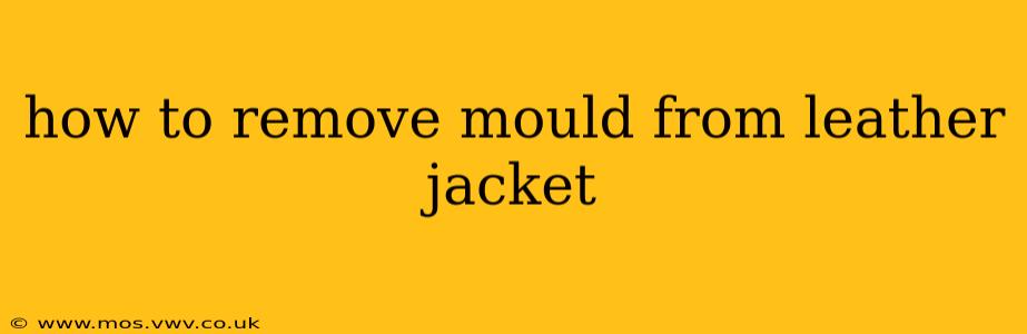 how to remove mould from leather jacket
