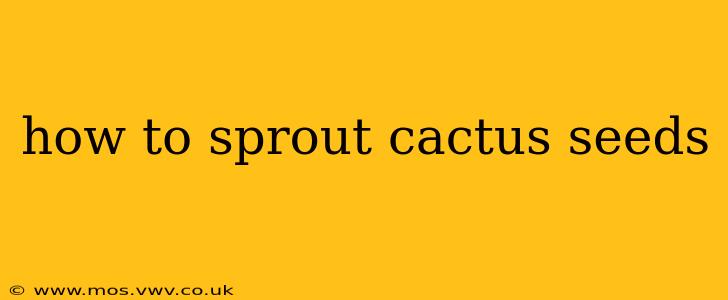 how to sprout cactus seeds