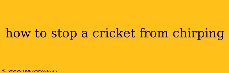 how to stop a cricket from chirping