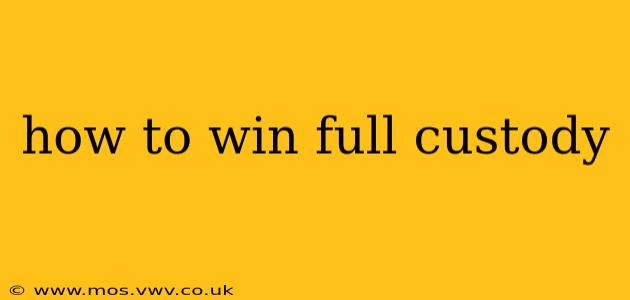 how to win full custody