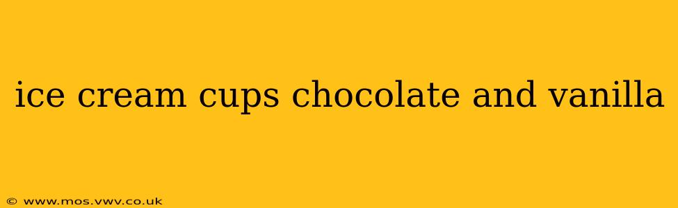 ice cream cups chocolate and vanilla