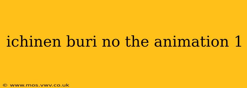 ichinen buri no the animation 1