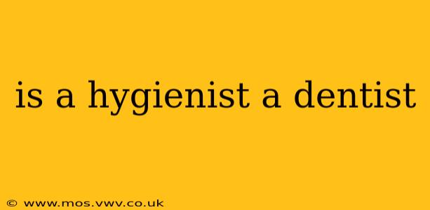 is a hygienist a dentist