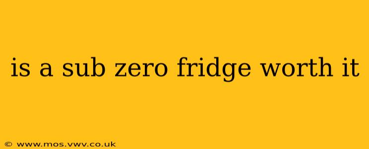 is a sub zero fridge worth it