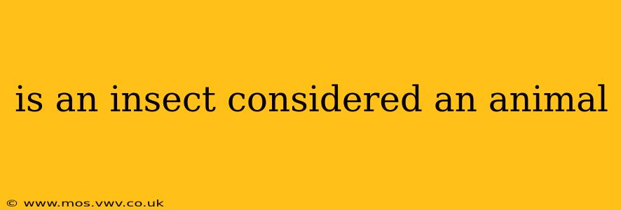 is an insect considered an animal
