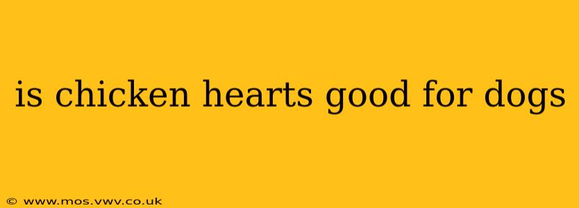 is chicken hearts good for dogs