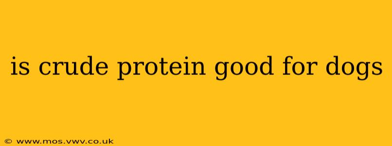 is crude protein good for dogs