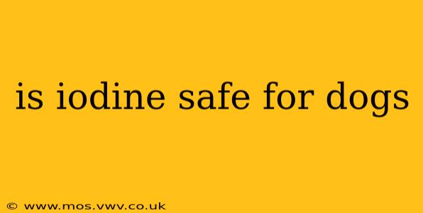 is iodine safe for dogs