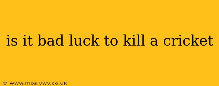 is it bad luck to kill a cricket
