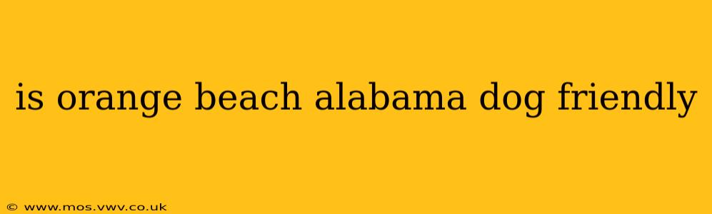 is orange beach alabama dog friendly