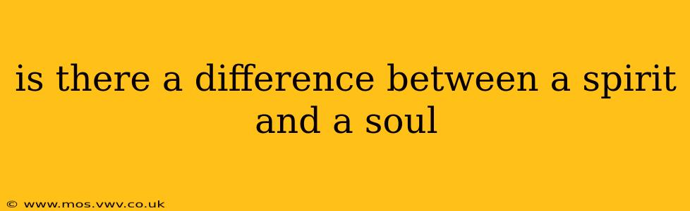is there a difference between a spirit and a soul