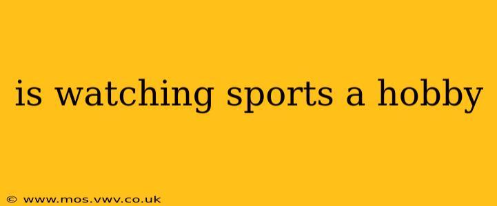 is watching sports a hobby