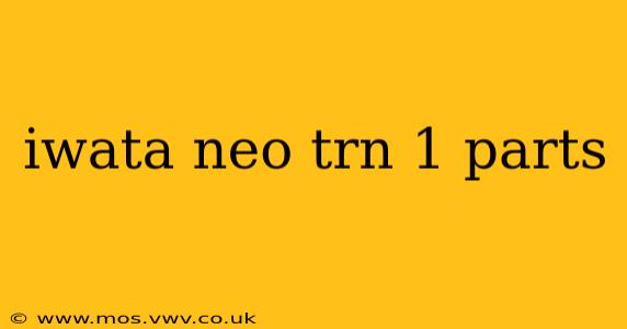 iwata neo trn 1 parts