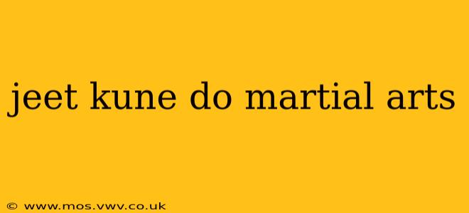 jeet kune do martial arts