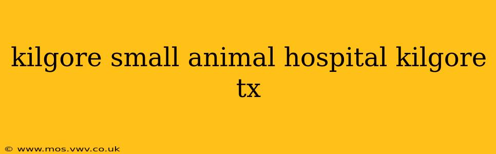 kilgore small animal hospital kilgore tx
