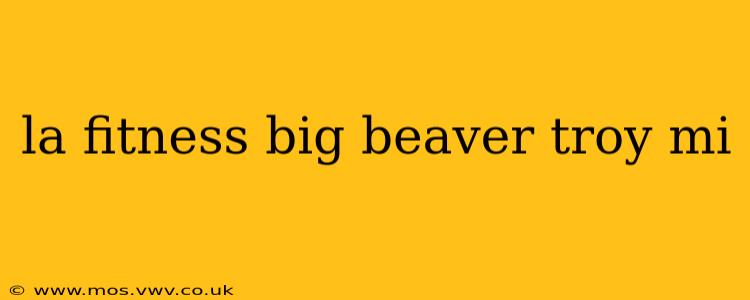la fitness big beaver troy mi