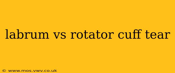 labrum vs rotator cuff tear