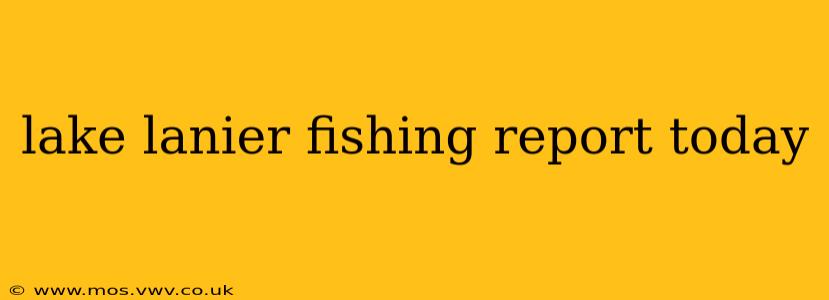lake lanier fishing report today