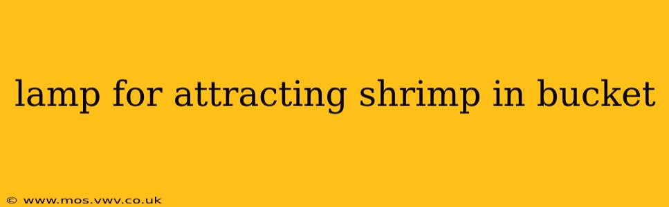 lamp for attracting shrimp in bucket