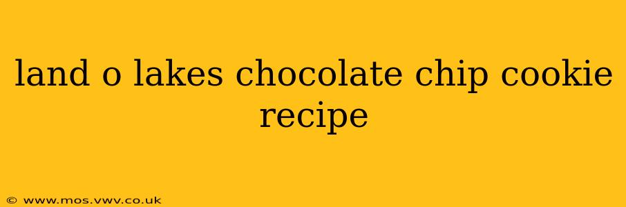 land o lakes chocolate chip cookie recipe