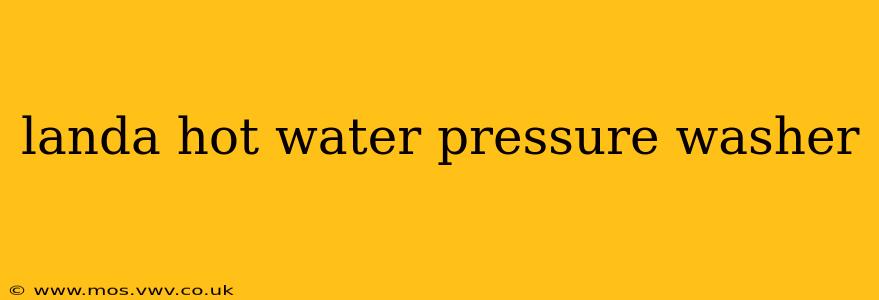 landa hot water pressure washer