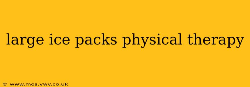 large ice packs physical therapy