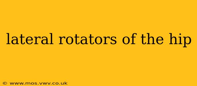 lateral rotators of the hip