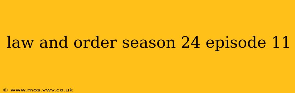 law and order season 24 episode 11