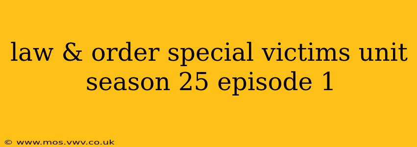 law & order special victims unit season 25 episode 1