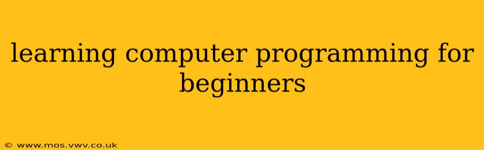 learning computer programming for beginners