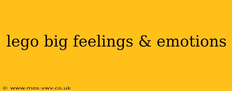 lego big feelings & emotions