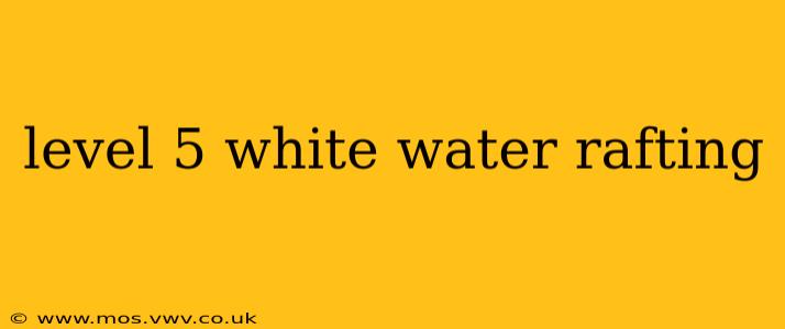 level 5 white water rafting