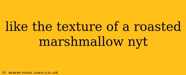 like the texture of a roasted marshmallow nyt