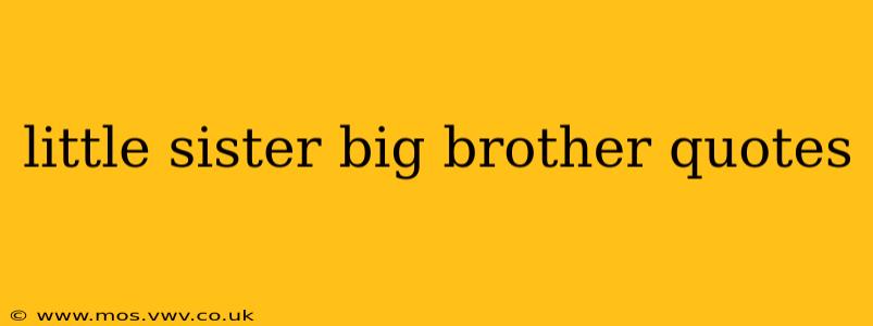 little sister big brother quotes