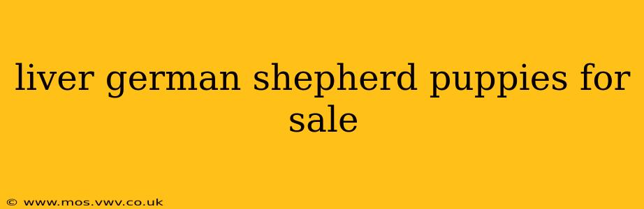 liver german shepherd puppies for sale