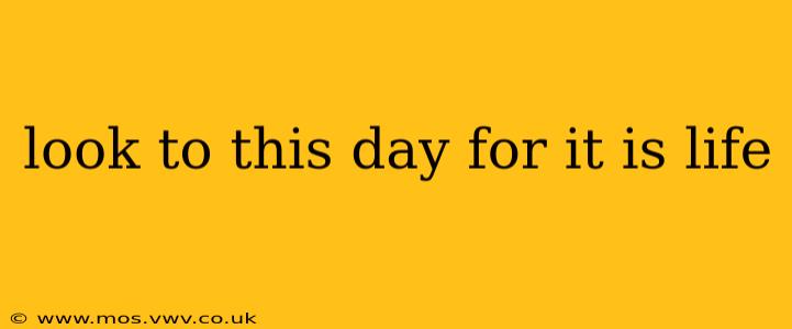 look to this day for it is life