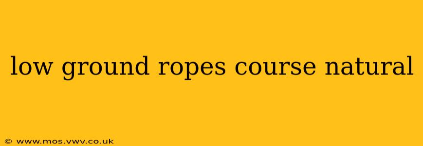 low ground ropes course natural