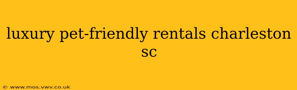luxury pet-friendly rentals charleston sc
