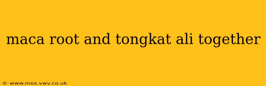 maca root and tongkat ali together