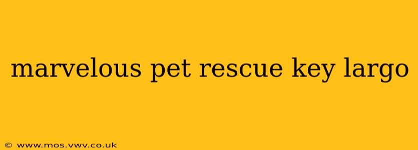 marvelous pet rescue key largo