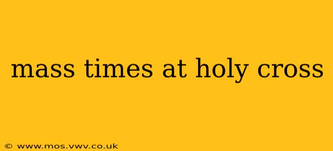 mass times at holy cross