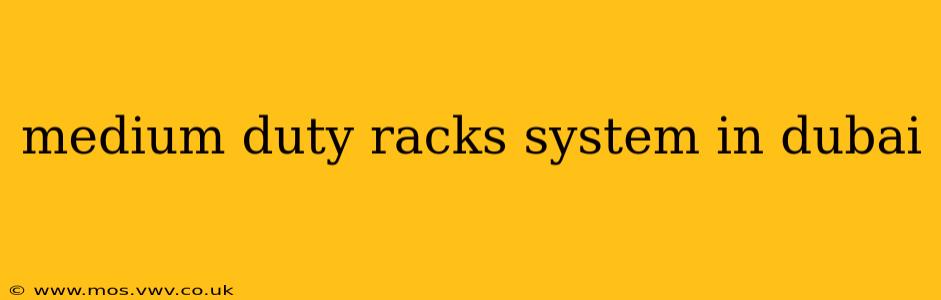 medium duty racks system in dubai