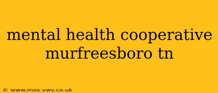 mental health cooperative murfreesboro tn