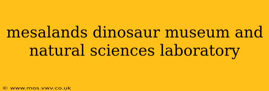 mesalands dinosaur museum and natural sciences laboratory