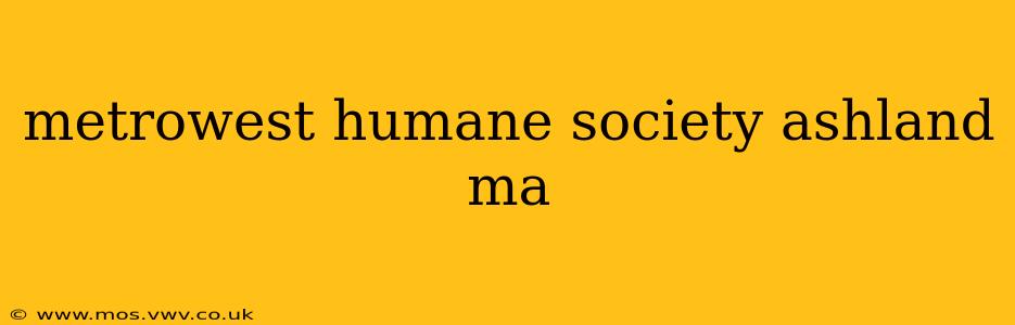 metrowest humane society ashland ma