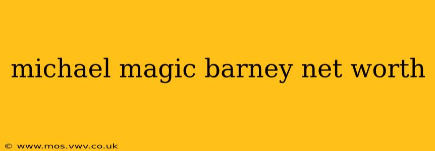 michael magic barney net worth
