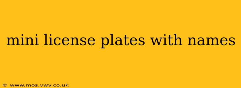 mini license plates with names