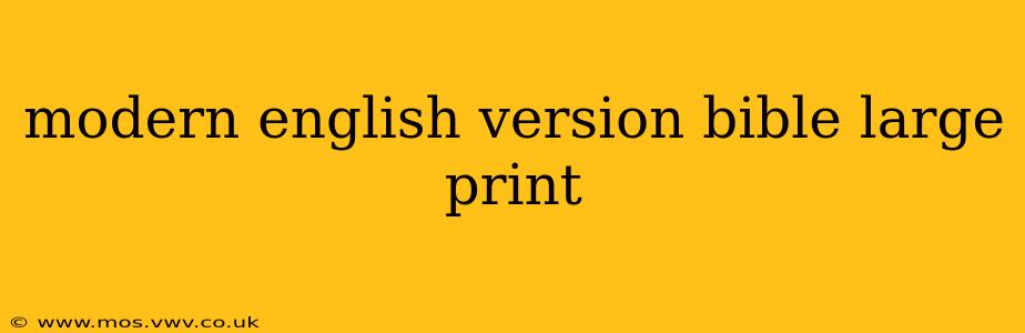 modern english version bible large print