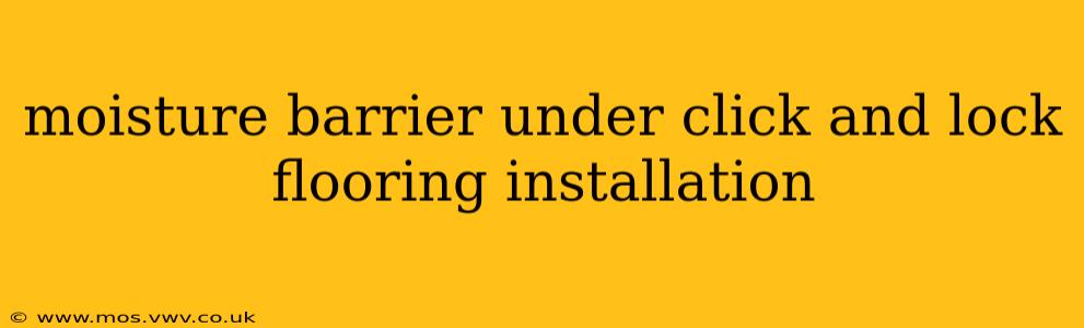 moisture barrier under click and lock flooring installation